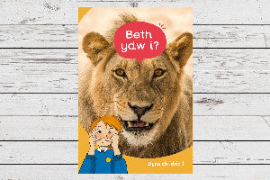 Dyna Chi Dric: Beth Ydw I? 