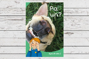 Dyna Chi Dric: Pa Un? 