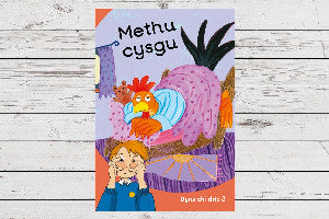 Dyna Chi Dric: Methu Cysgu 