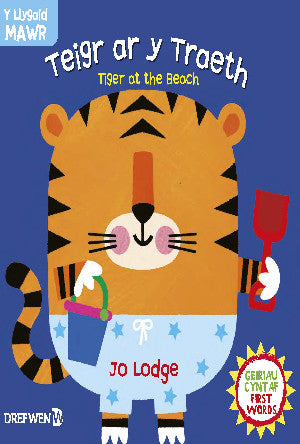 Teigr ar y Traeth