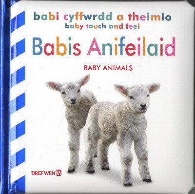 Clawr llyfr / Book cover: Babi Cyffwrdd a Theimlo: Babis Anifeiliaid / Baby Touch and Feel: Baby Animals — Baby Touch and Feel: Animals