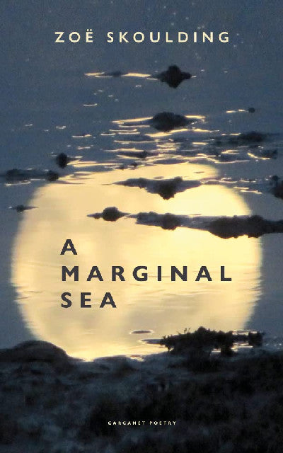 Clawr llyfr / Book cover: A Marginal Sea