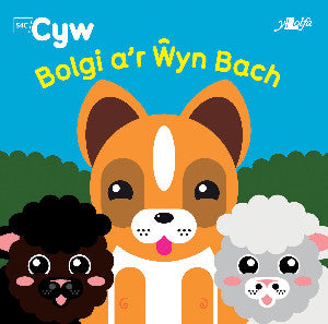 Cyfres Cyw: Bolgi a'r ?yn Bach