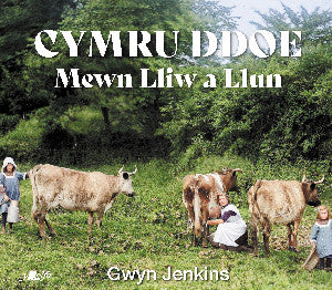 Cymru Ddoe Mewn Lliw a Llun