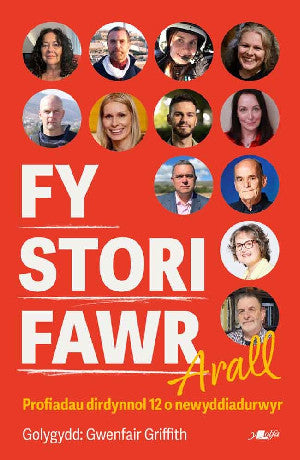Fy Stori Fawr Arall - Profiadau dirdynnol 12 o newyddiadurwyr