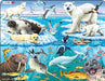 Jig-so Bywyd Gwyllt yr Arctig / Wildlife in the Arctic Jigsaw