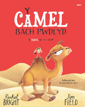 Y Camel Bach Pwdlyd / The Camel who had the hump