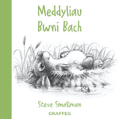 Clawr llyfr / Book cover: Meddyliau Bwni Bach