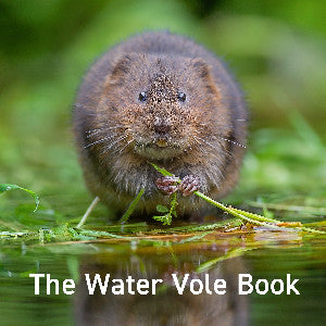 Nature Book Series: The Water Vole Book 