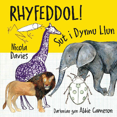 Clawr llyfr / Book cover: Rhyfeddol! Sut i Dynnu Llun