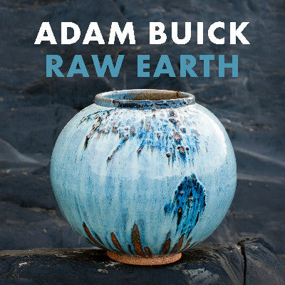 Clawr llyfr / Book cover: Raw Earth