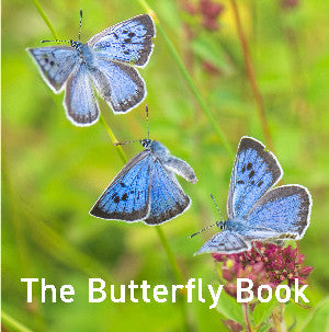 Nature Book Series: The Butterfly Book