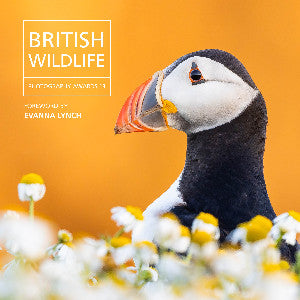 British Wildlife Photography Awards 13
