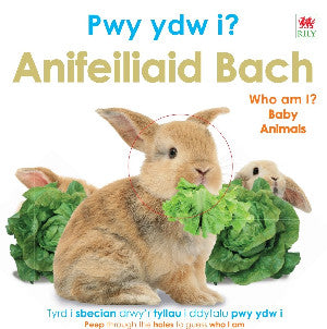Pwy Ydw i? Anifeiliaid Bach / Who Am I? Baby Animals