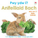 Pwy Ydw i? Anifeiliaid Bach / Who Am I? Baby Animals
