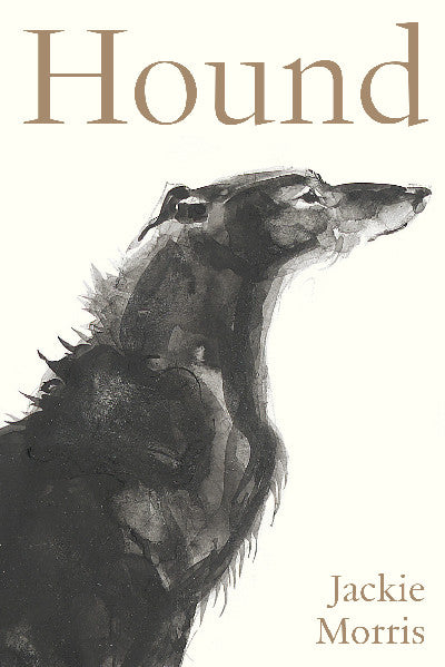 Clawr llyfr / Book cover: Accordion Book: Hound