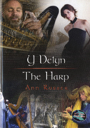 Cyfres Cip ar Gymru/Wonder Wales: Delyn, Y