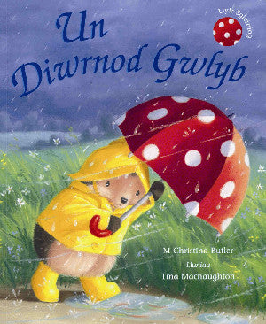 Un Diwrnod Gwlyb