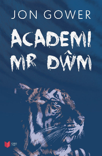 Clawr llyfr / Book cover: Academi Mr Dŵm