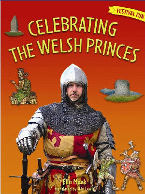Celebrating Welsh Princes