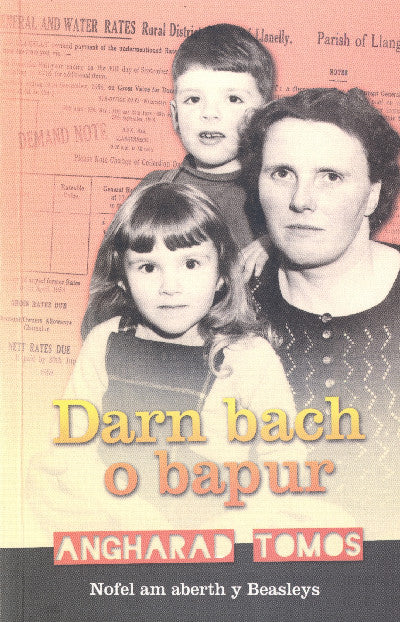 Clawr llyfr / Book cover: Darn Bach o Bapur