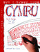 Sut i Dynnu Llun Cymru