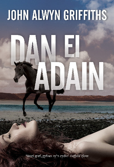 Clawr llyfr / Book cover: Dan ei Adain