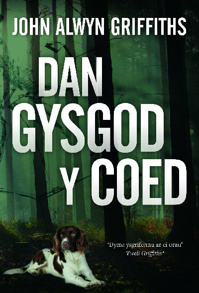 Clawr llyfr / Book cover: Dan Gysgod y Coed