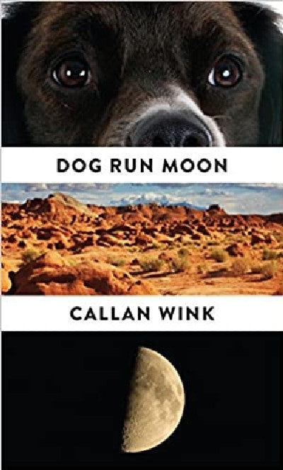Clawr llyfr / Book cover: Dog Run Moon