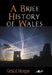 A Brief History of Wales 