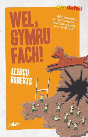 Wel, Gymru Fach