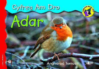 Clawr llyfr / Book cover: Cyfres am Dro: 3. Adar