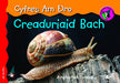 Llyfr Creaduriaid Bach