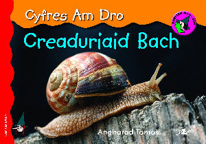 Llyfr Creaduriaid Bach