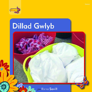 Dillad Gwlyb