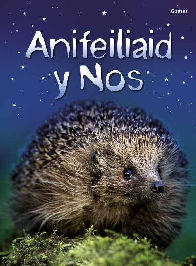 Clawr llyfr / Book cover: Cyfres Dechrau Da: Anifeiliaid y Nos