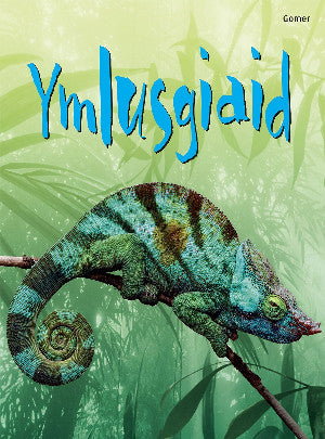 Ymlusgiaid