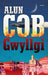 Gwyllgi