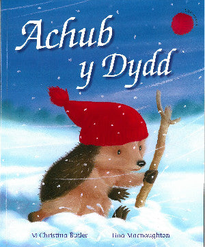 Cyfres Draenog Bach: Achub y Dydd