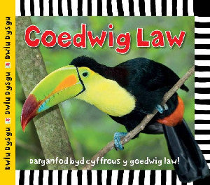 Cyfres Dwlu Dysgu: Coedwig Law