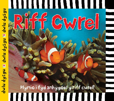 Clawr llyfr / Book cover: Cyfres Dwlu Dysgu: Riff Cwrel