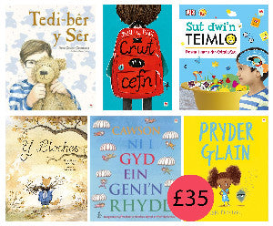 Pecyn Iechyd Da - Cymraeg Rily (6 Books)