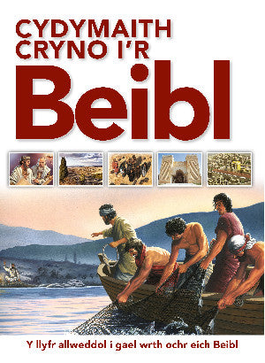 Cydymaith Cryno i'r Beibl