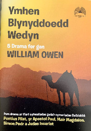 Ymhen Blynyddoedd Wedyn