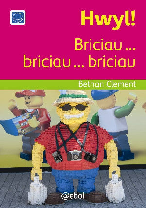 Cyfres Darllen Difyr: Hwyl! - Briciau ... briciau ... briciau