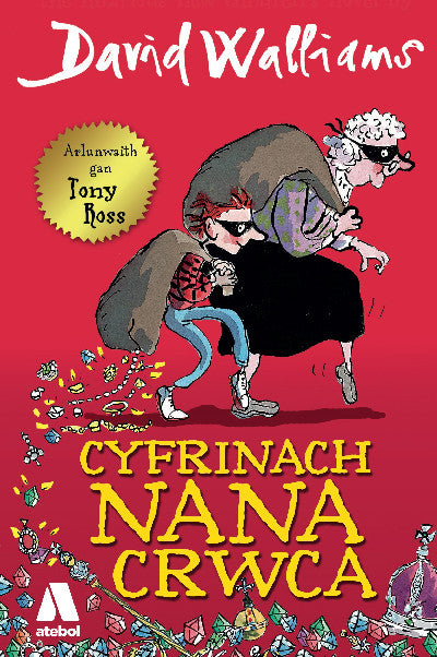 Clawr llyfr / Book cover: Cyfrinach Nana Crwca