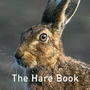 Nature Book Series: The Hare Book