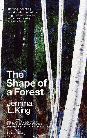 The Shape of a Forest