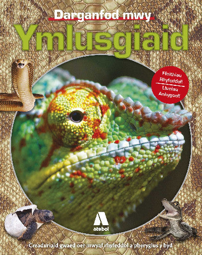 Clawr llyfr / Book cover: Ymlusgiaid