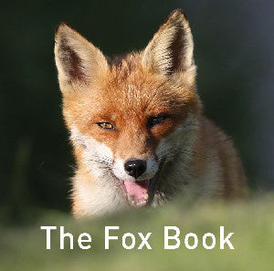 Nature Book Series: The Fox Book